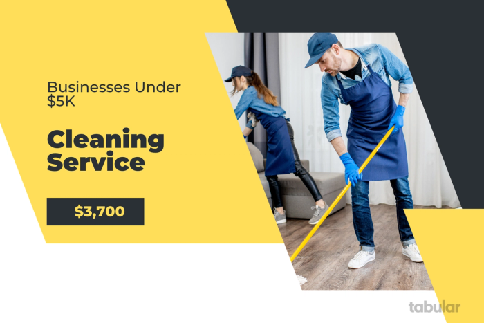 Business under 5k - cleaning service.